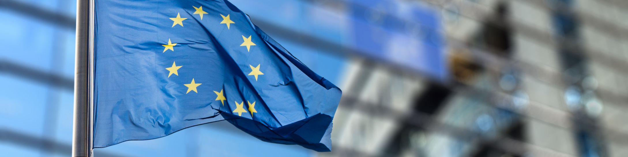 Key Messages for the Upcoming Review of the Shareholder Rights Directives